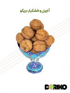 گردو پیوندی آمریکایی